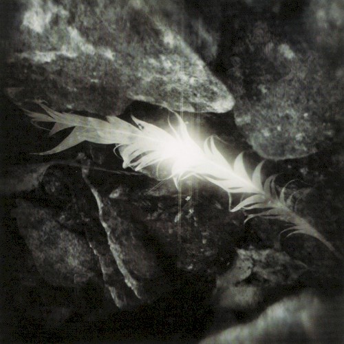 Rapture - Silent Stage